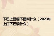 下巴上面嘴下面叫什么（2023年上口下巴读什么）