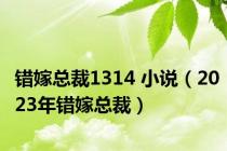错嫁总裁1314 小说（2023年错嫁总裁）