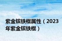 紫金镔铁棍属性（2023年紫金镔铁棍）