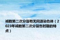 减数第二次分裂有无同源染色体（2023年减数第二次分裂各时期的特点）
