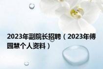 2023年副院长招聘（2023年傅园慧个人资料）