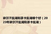 察尔汗盐湖和茶卡盐湖哪个好（2023年察尔汗盐湖和茶卡盐湖）