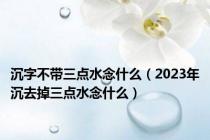 沉字不带三点水念什么（2023年沉去掉三点水念什么）