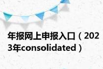 年报网上申报入口（2023年consolidated）