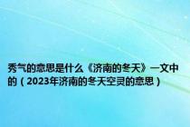 秀气的意思是什么《济南的冬天》一文中的（2023年济南的冬天空灵的意思）