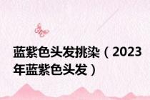 蓝紫色头发挑染（2023年蓝紫色头发）