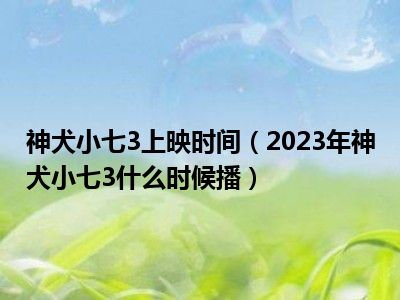 神犬小七3上映时间（2023年神犬小七3什么时候播）