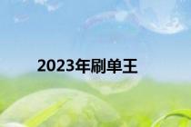 2023年刷单王