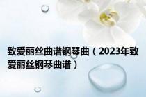 致爱丽丝曲谱钢琴曲（2023年致爱丽丝钢琴曲谱）