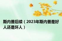 斯内普后续（2023年斯内普是好人还是坏人）