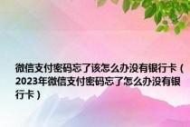 微信支付密码忘了该怎么办没有银行卡（2023年微信支付密码忘了怎么办没有银行卡）