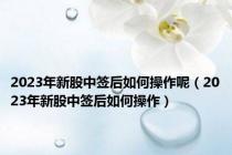2023年新股中签后如何操作呢（2023年新股中签后如何操作）