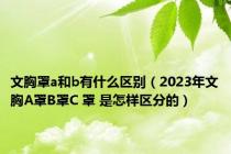 文胸罩a和b有什么区别（2023年文胸A罩B罩C 罩 是怎样区分的）
