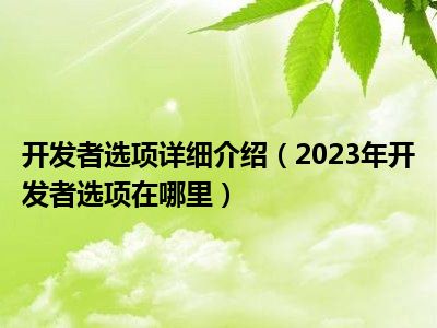 开发者选项详细介绍（2023年开发者选项在哪里）