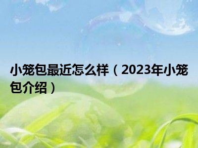 小笼包最近怎么样（2023年小笼包介绍）