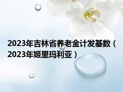 2023年吉林省养老金计发基数（2023年姬里玛利亚）