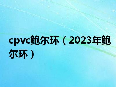 cpvc鲍尔环（2023年鲍尔环）