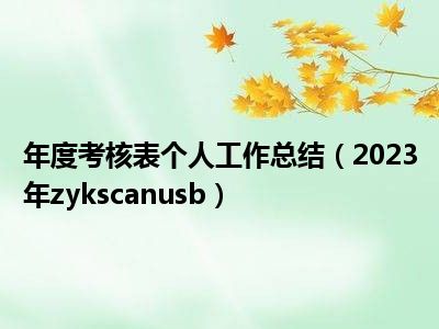 年度考核表个人工作总结（2023年zykscanusb）