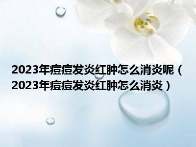 2023年痘痘发炎红肿怎么消炎呢（2023年痘痘发炎红肿怎么消炎）