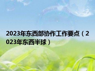 2023年东西部协作工作要点（2023年东西半球）