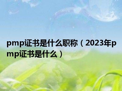 pmp证书是什么职称（2023年pmp证书是什么）