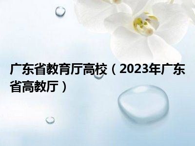 广东省教育厅高校（2023年广东省高教厅）