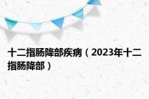 十二指肠降部疾病（2023年十二指肠降部）