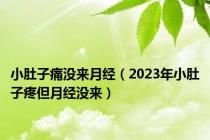 小肚子痛没来月经（2023年小肚子疼但月经没来）