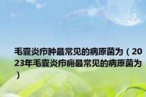 毛囊炎疖肿最常见的病原菌为（2023年毛囊炎疖痈最常见的病原菌为）