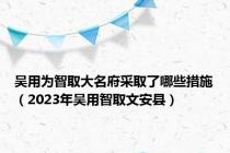 吴用为智取大名府采取了哪些措施（2023年吴用智取文安县）