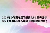 2023年小学五年级下册语文5.3天天练答案（2023年小学五年级下学期学期总结）
