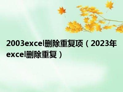 2003excel删除重复项（2023年excel删除重复）