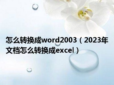 怎么转换成word2003（2023年文档怎么转换成excel）