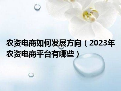 农资电商如何发展方向（2023年农资电商平台有哪些）