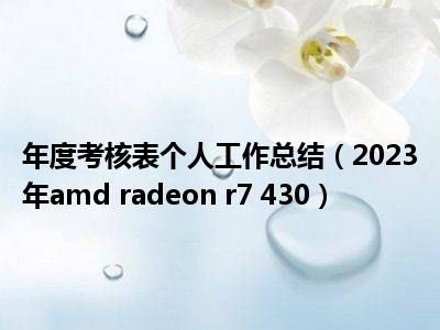 年度考核表个人工作总结（2023年amd radeon r7 430）