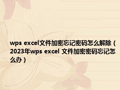 wps excel文件加密忘记密码怎么解除（2023年wps excel 文件加密密码忘记怎么办）