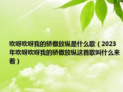 吹呀吹呀我的骄傲放纵是什么歌（2023年吹呀吹呀我的骄傲放纵这首歌叫什么来着）