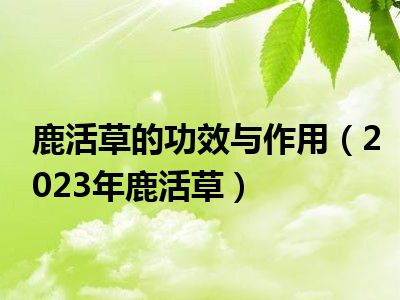 鹿活草的功效与作用（2023年鹿活草）