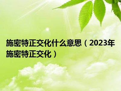 施密特正交化什么意思（2023年施密特正交化）