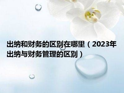 出纳和财务的区别在哪里（2023年出纳与财务管理的区别）