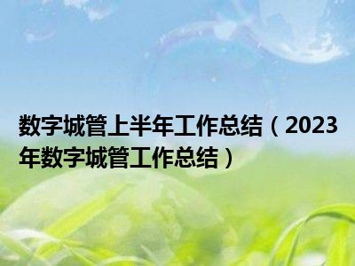 数字城管上半年工作总结（2023年数字城管工作总结）