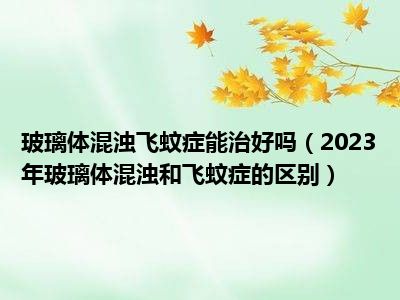 玻璃体混浊飞蚊症能治好吗（2023年玻璃体混浊和飞蚊症的区别）