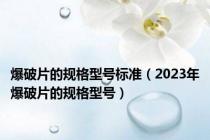 爆破片的规格型号标准（2023年爆破片的规格型号）