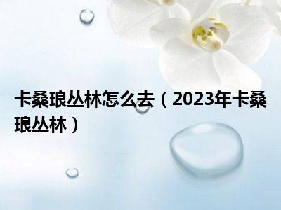 卡桑琅丛林怎么去（2023年卡桑琅丛林）