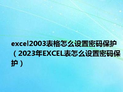 excel2003表格怎么设置密码保护（2023年EXCEL表怎么设置密码保护）
