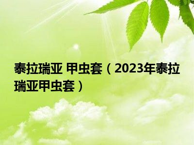 泰拉瑞亚 甲虫套（2023年泰拉瑞亚甲虫套）