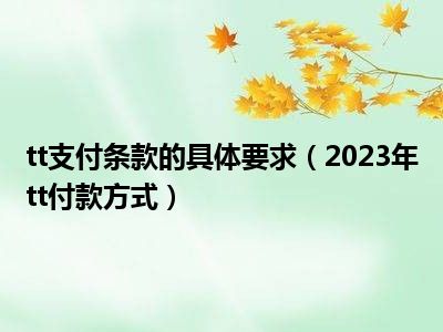 tt支付条款的具体要求（2023年tt付款方式）