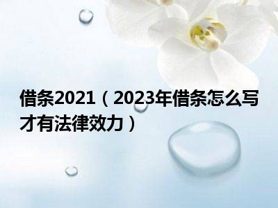 借条2021（2023年借条怎么写才有法律效力）