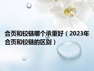 合页和铰链哪个承重好（2023年合页和铰链的区别）