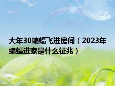 大年30蝙蝠飞进房间（2023年蝙蝠进家是什么征兆）